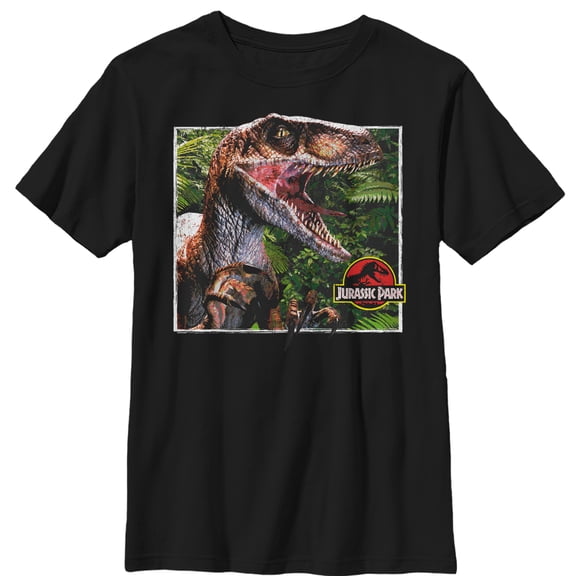 Boy's Jurassic Park Velociraptor Scene  Graphic Tee Black Small