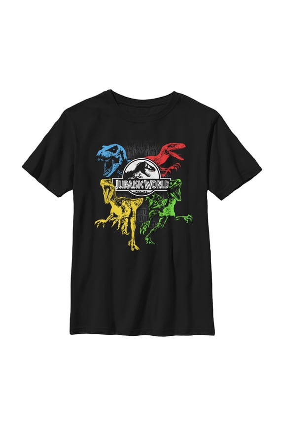 Boy's Jurassic World Color Raptor Squad Graphic Tee Black Small