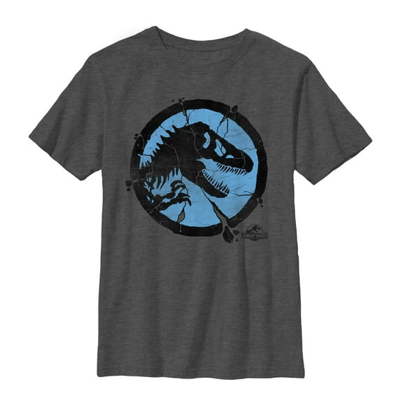 Boy's Jurassic World Cracked T. Rex Logo  Graphic Tee Charcoal Heather Large