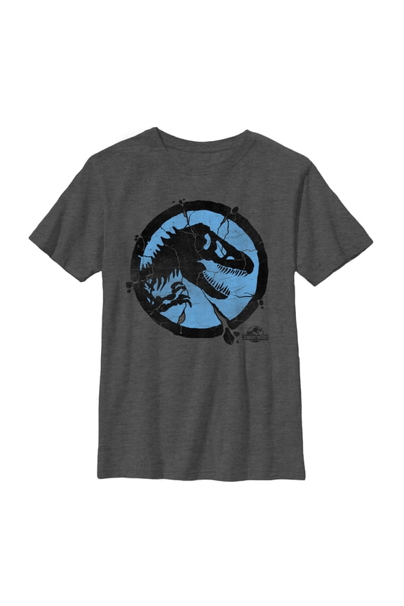 Boy's Jurassic World Cracked T. Rex Logo Graphic Tee Charcoal Heather Small