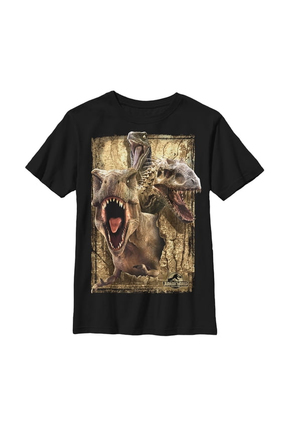 Boy's Jurassic World Dinosaur Collage Graphic Tee Black Large