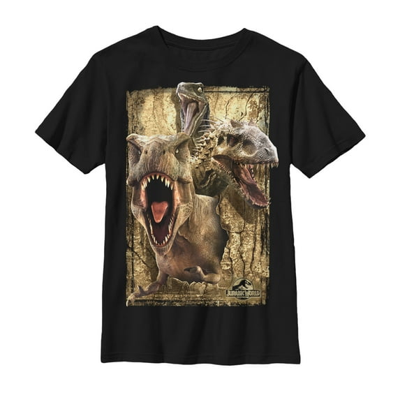 Boy's Jurassic World Dinosaur Collage Graphic Tee Black Small