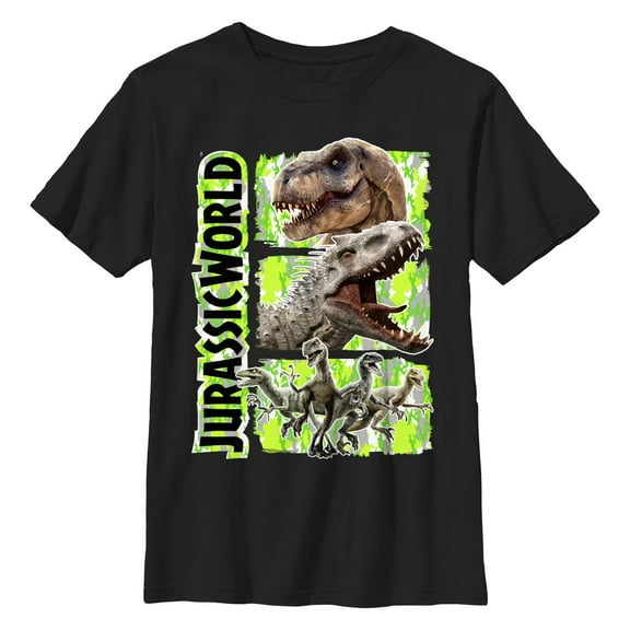 Boys' Husky Jurassic World Dinosaur Panels Graphic Tee Black Small