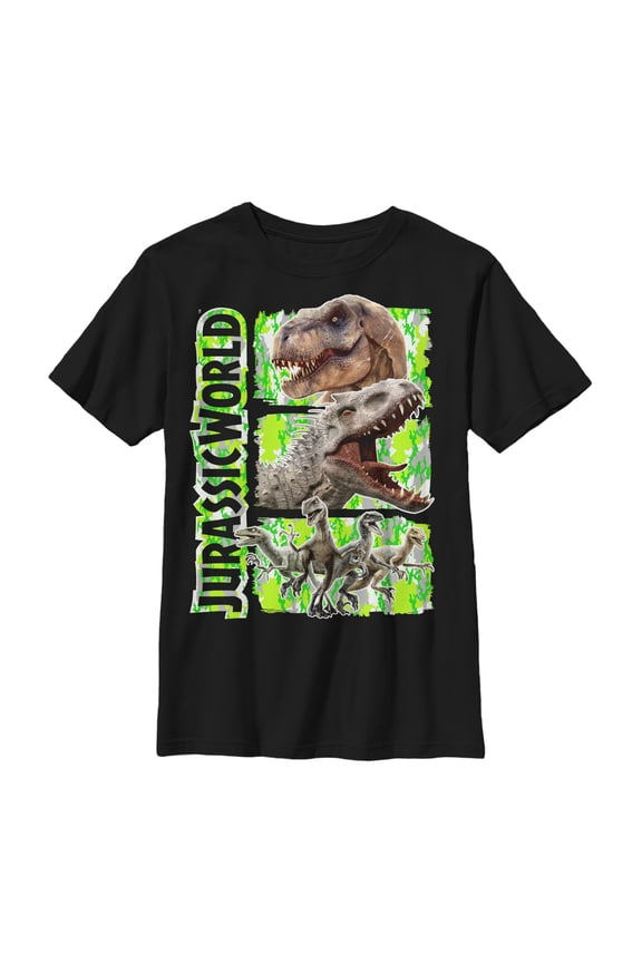 Boy's Jurassic World Dinosaur Panels Graphic Tee Black X Large