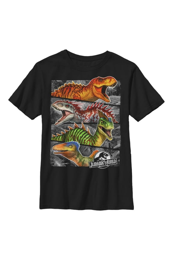 Boy's Jurassic World Dinosaur Retro Panels Graphic T-Shirt