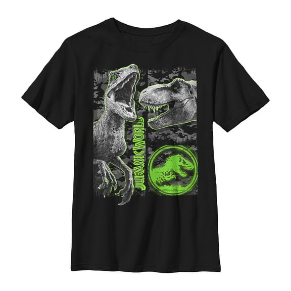 Boy's Jurassic World: Fallen Kingdom Camo Print Dinosaurs Graphic Tee Black Medium