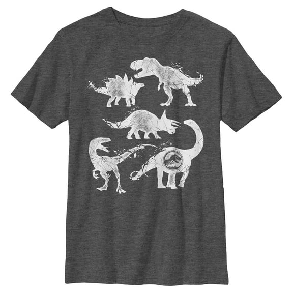 Boys' Husky Jurassic World Fallen Kingdom Cracked Dinosaurs Graphic Tee Charcoal Heather Large