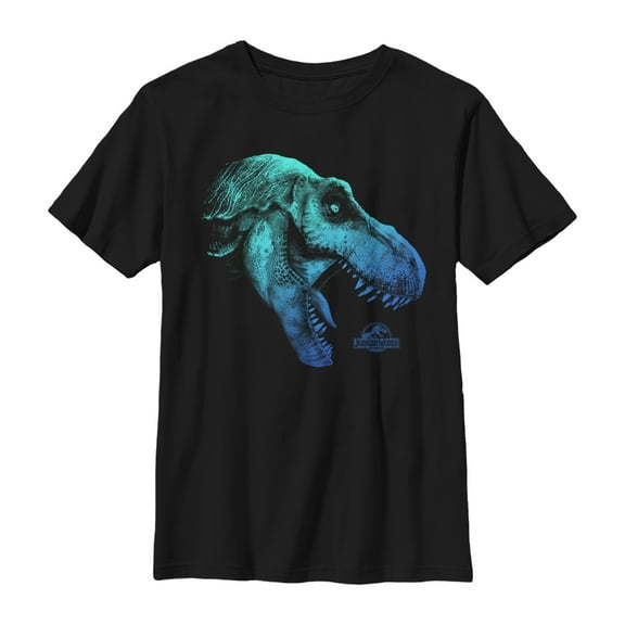 Boy's Jurassic World: Fallen Kingdom Dino Nightmare  Graphic Tee Black Small