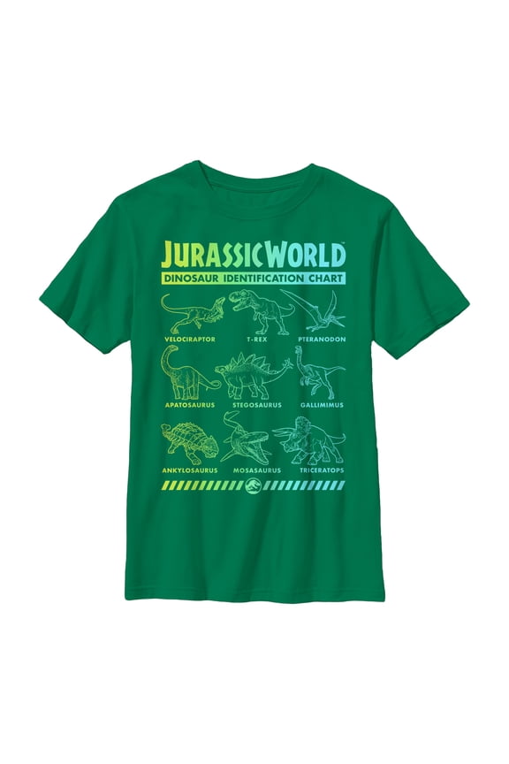 Boy's Jurassic World: Fallen Kingdom Dinosaur Identification Card Graphic Tee Kelly Green X Small