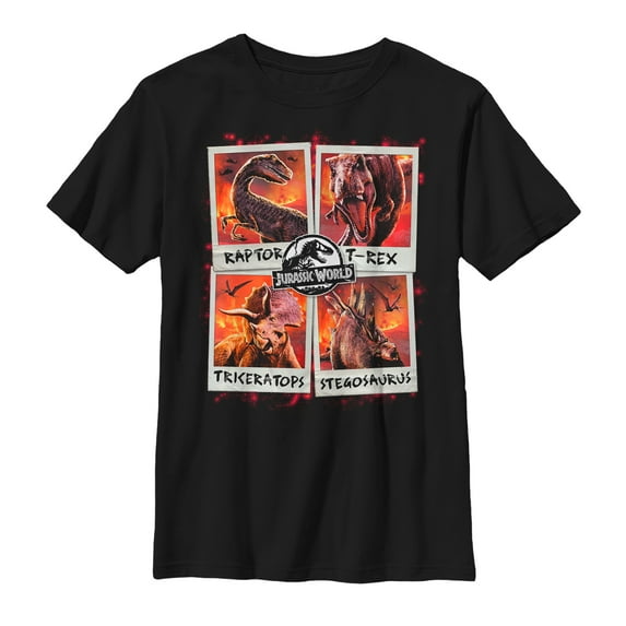 Boy's Jurassic World: Fallen Kingdom Fire Polaroid Graphic Tee Black Medium