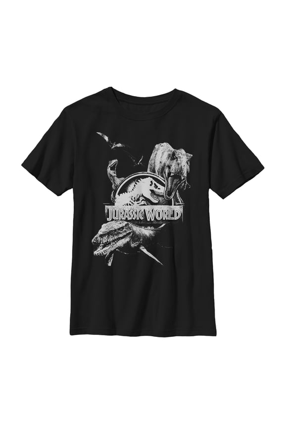 Boy's Jurassic World: Fallen Kingdom Logo Attack Graphic Tee Black Small