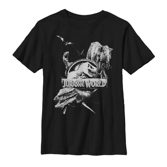 Boy's Jurassic World: Fallen Kingdom Logo Attack Graphic Tee Black X Small