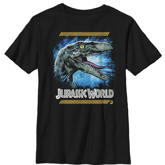 Boy's Jurassic World: Fallen Kingdom Raptor Code  Graphic Tee Black X Large