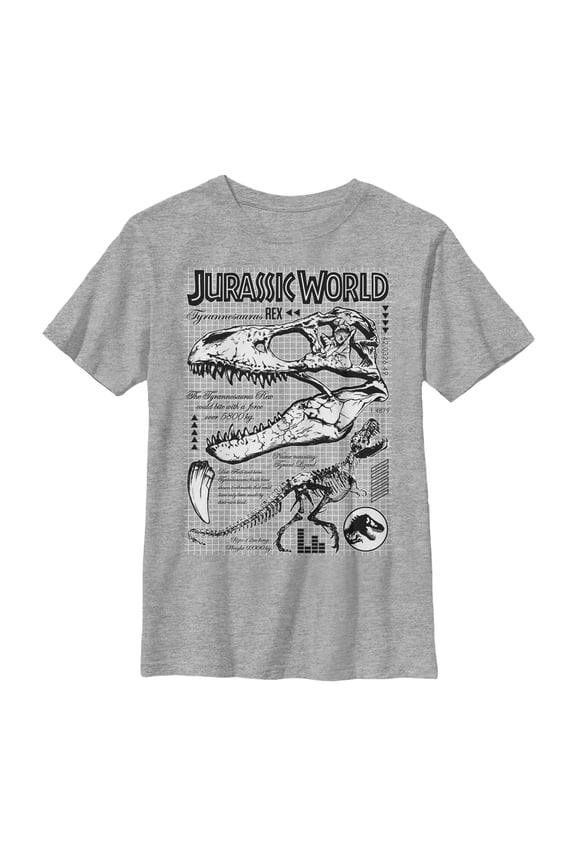 Boy's Jurassic World: Fallen Kingdom T. Rex Details Graphic Tee Athletic Heather Small