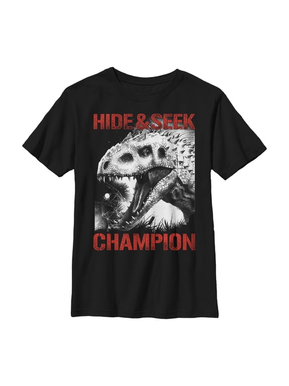 Boy's Jurassic World Hide and Seek Champion Graphic Tee Black X Large