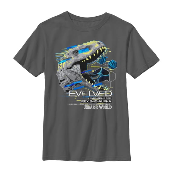 Boy's Jurassic World Indominus Rex Evolution Graphic Tee Charcoal Large