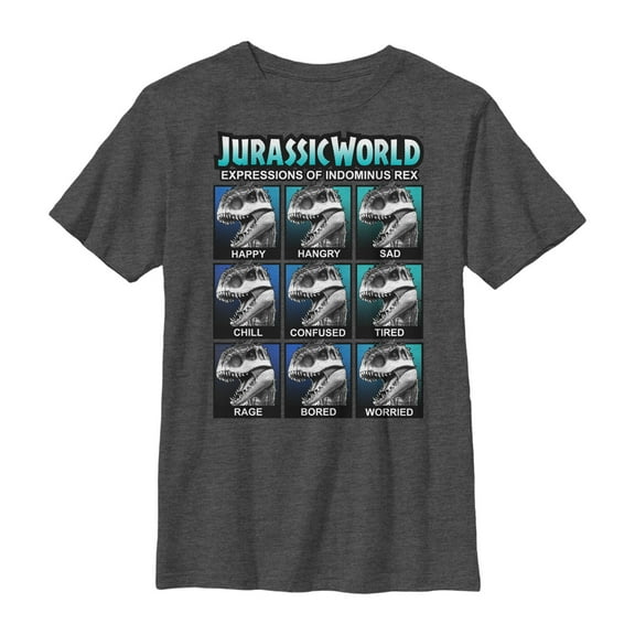 Boy's Jurassic World Indominus Rex Expressions  Graphic Tee Charcoal Heather Large