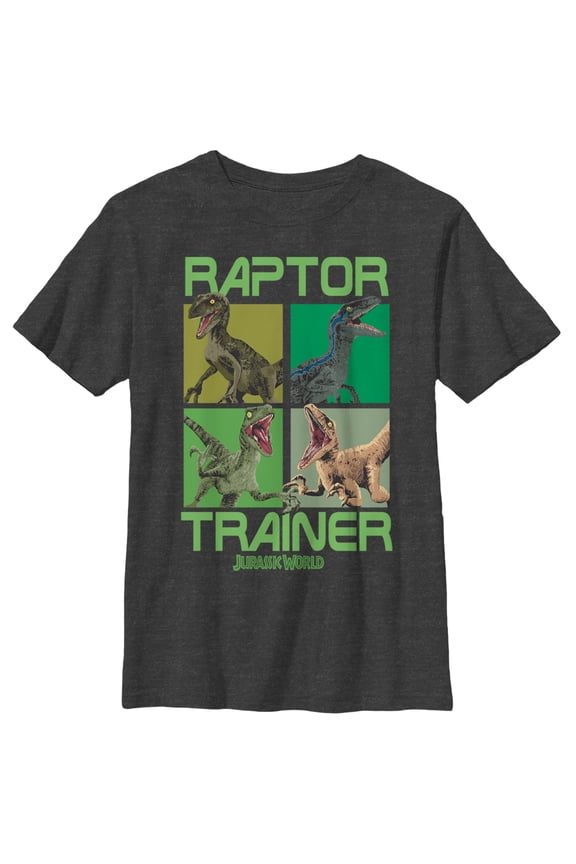 Boy's Jurassic World Raptor Trainer Graphic Tee Charcoal Heather Small