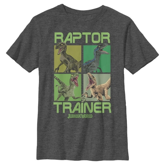Boys' Husky Jurassic World Raptor Trainer Graphic Tee Charcoal Heather Small
