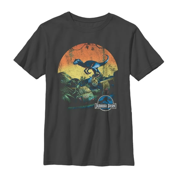 Boy's Jurassic World Retro Dinosaur Sunset  Graphic Tee Charcoal Medium