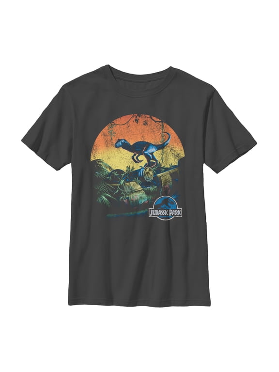 Boy's Jurassic World Retro Dinosaur Sunset Graphic Tee Charcoal Small