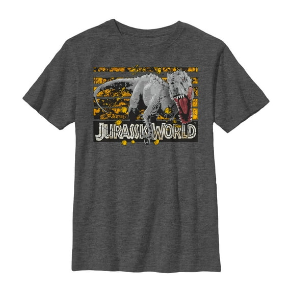 Boy's Jurassic World Rock Grid Dinosaur Graphic Tee Charcoal Heather Medium