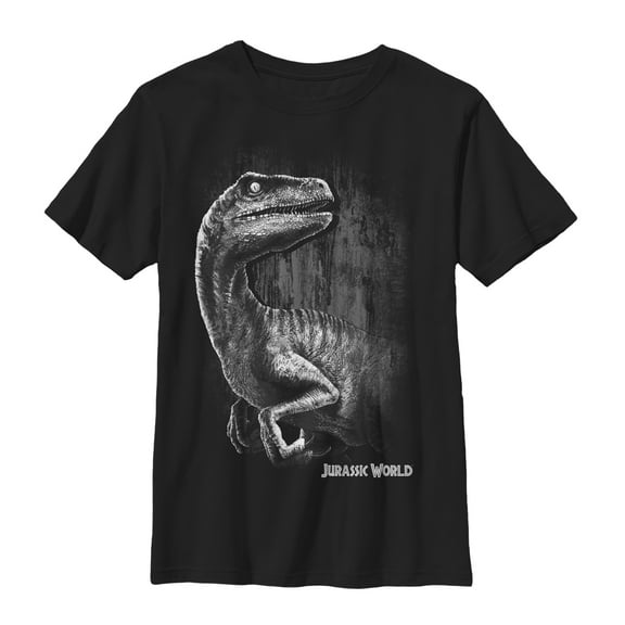 Boy's Jurassic World Sly Velociraptor  Graphic Tee Black Large