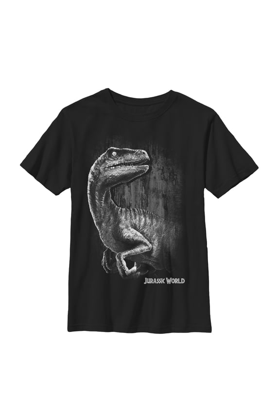 Boy's Jurassic World Sly Velociraptor Graphic Tee Black X Large