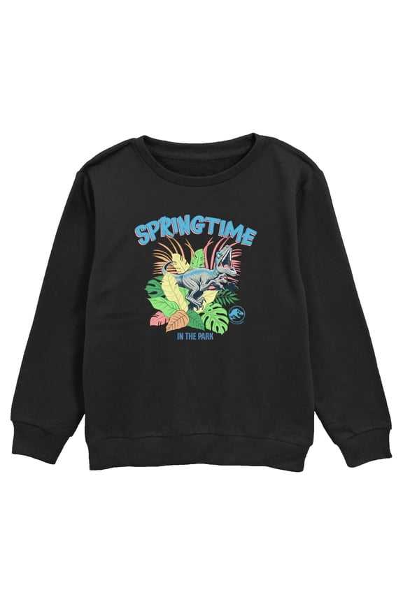 Boy's Jurassic World Springtime in the Park Sweatshirt