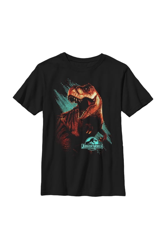 Boy's Jurassic World T. Rex Computer Screen Graphic Tee Black X Large