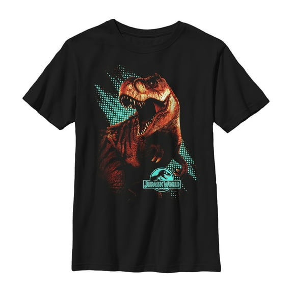 Boy's Jurassic World T. Rex Computer Screen Graphic Tee Black X Small