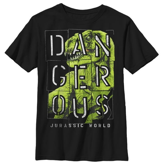 Boy's Jurassic World T. Rex Dangerous Graphic Tee Black Large