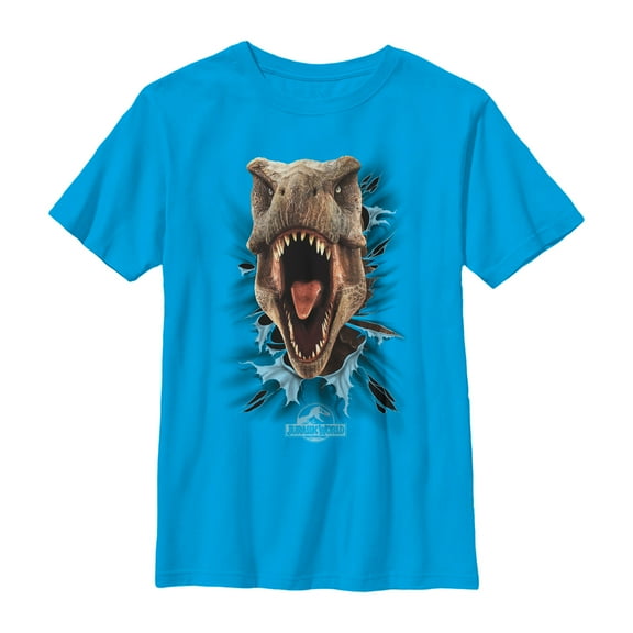 Boy's Jurassic World T. Rex Rip  Graphic Tee Turquoise Large