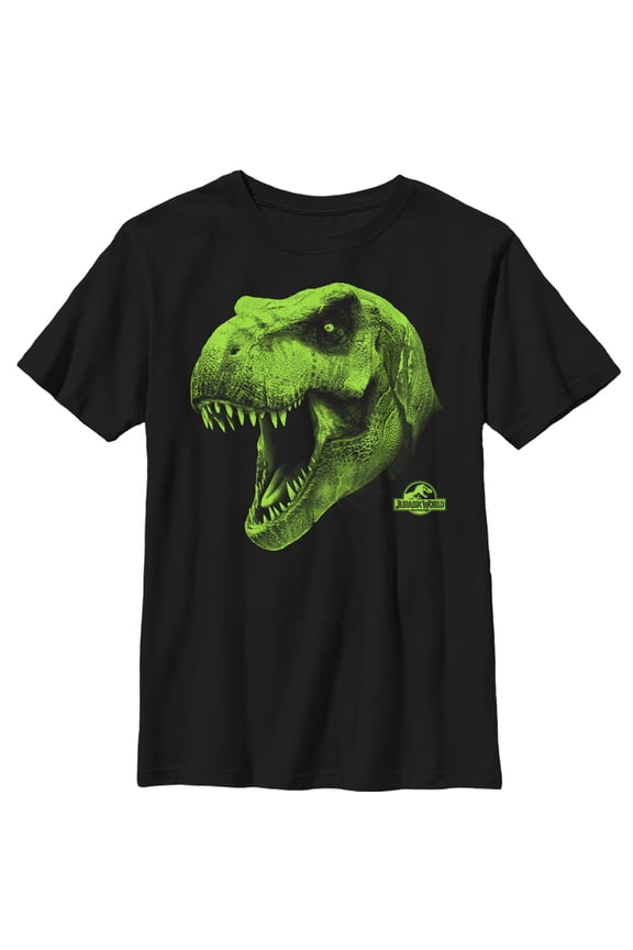 Boy's Jurassic World T. Rex Roar Graphic Tee Black Large
