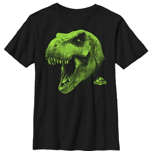 Boy's Jurassic World T. Rex Roar  Graphic Tee Black Medium