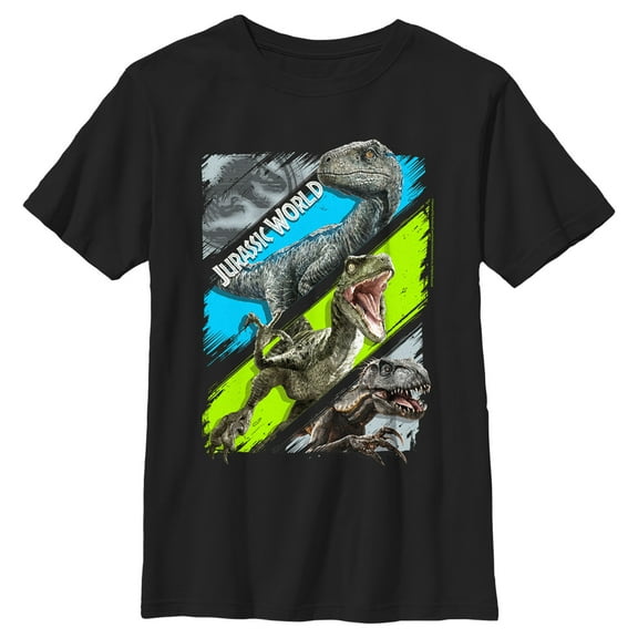 Boy's Jurassic World T. rex and Velociraptors Panels  Graphic Tee Black Large