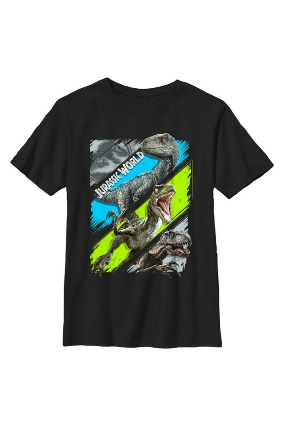 Boy's Jurassic World T. rex and Velociraptors Panels Graphic Tee Black X Small