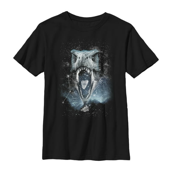 Boy's Jurassic World Tyrannosaurus Rex Constellation Graphic Tee Black Medium