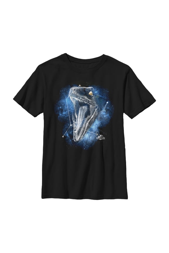 Boy's Jurassic World Velociraptor Constellation  Graphic Tee Black Large