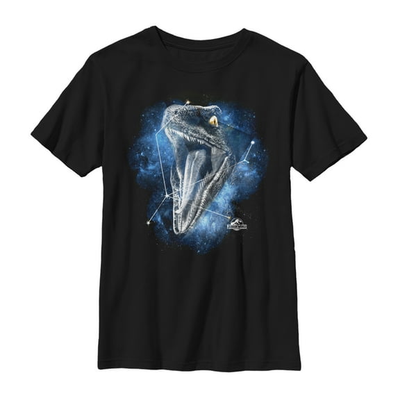 Boy's Jurassic World Velociraptor Constellation Graphic Tee Black Small