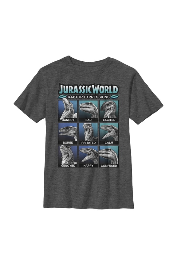 Boy's Jurassic World Velociraptor Expressions Graphic Tee Charcoal Heather Large