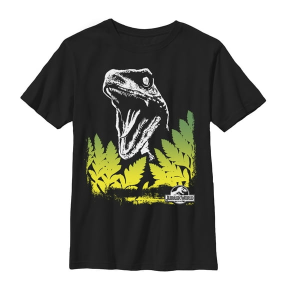 Boy's Jurassic World Velociraptor Surprise  Graphic Tee Black Large