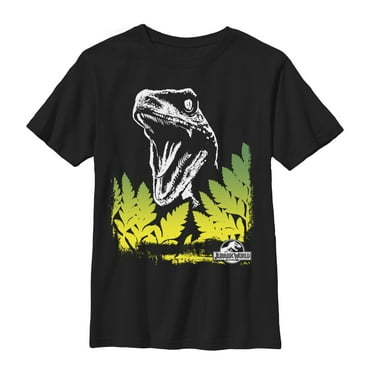 Boy's Jurassic World Velociraptor Surprise  Graphic Tee Black Small