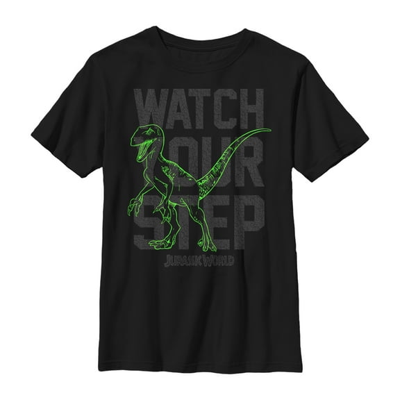 Boy's Jurassic World Watch Your Step  Graphic Tee Black Small