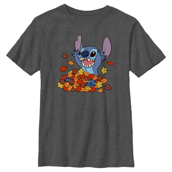 Boy's Lilo & Stitch Fall Leaf Pile  Graphic Tee Charcoal Heather Small