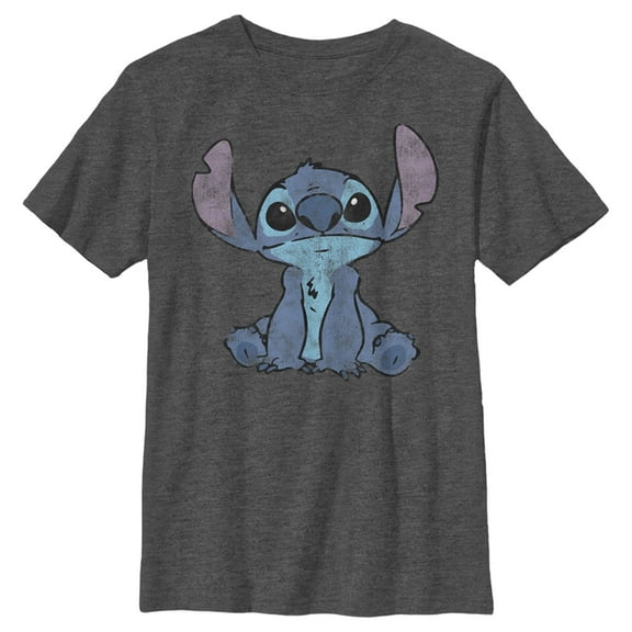 Boy's Lilo & Stitch Watercolor Stitch  Graphic Tee Charcoal Heather X Large