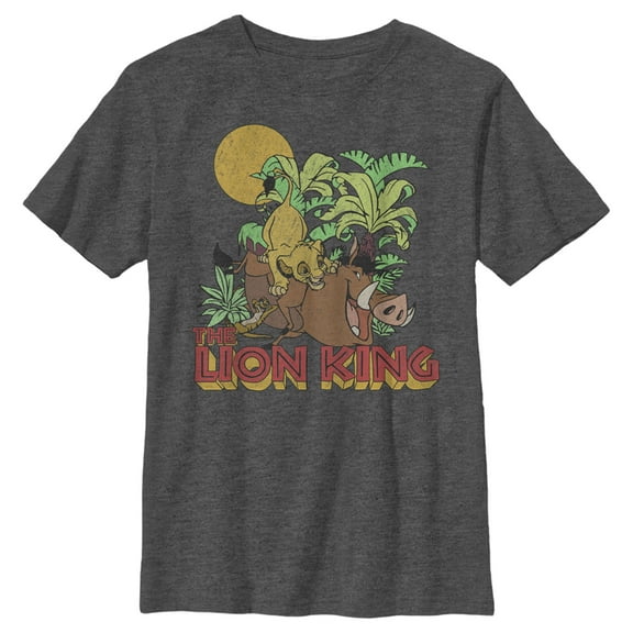 Boy's Lion King Famous Trio Besties Graphic Tee Charcoal Heather X Large