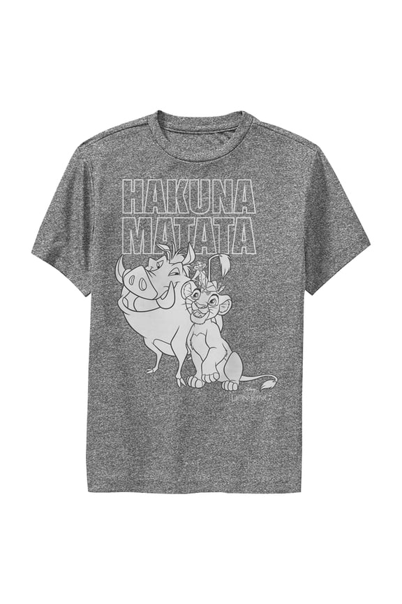 Boy's Lion King Hakuna Matata Friends Performance Graphic Tee Charcoal Heather Small