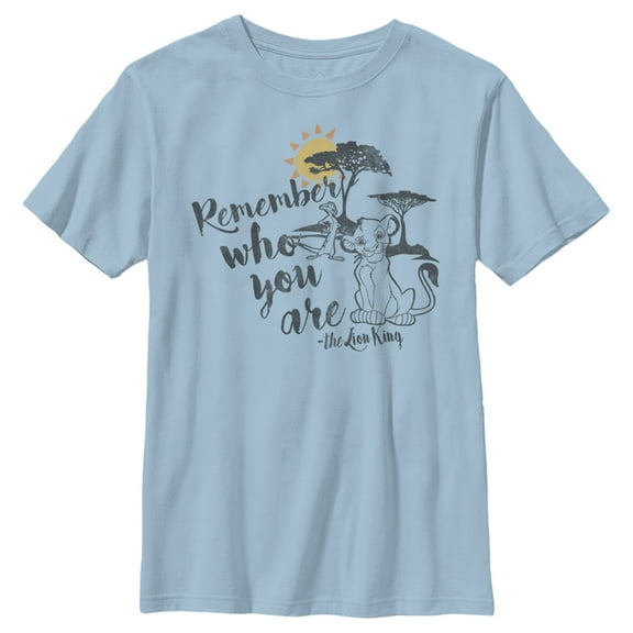 Boy's Lion King Simba Never Forget Who You Are Graphic Tee Light Blue Small
