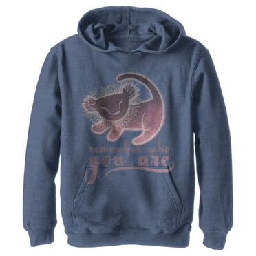 Boy's Lion King Simba Remember Who You Are  Pull Over Hoodie Navy Blue Heather Medium